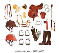 Horse Riding Accessories
